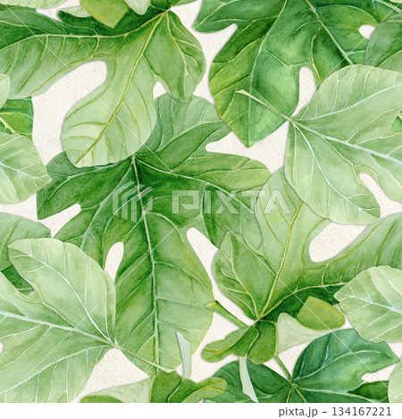 Fig leaf, detailed green texture watercolor seamless pattern isolated on beige. Hand-painted botanical clipart for organic design, food packaging, eco branding, seasonal decor, healthy lifestyle 134167221