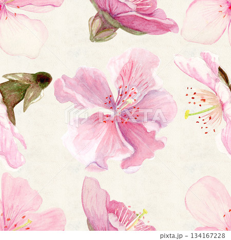 Sakura flowers seamless pattern watercolor, pink tones, hand-painted in natural botanical style isolated on beige background. Perfect for wedding invitations, spring cards, packaging, textile design. 134167228