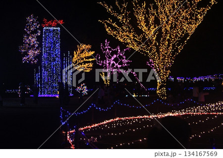 尾島庁舎前の町民の森公園イルミネーション2025(12.7) 人気の「滝」をメインに新作も登場 尾島庁舎前の町民の森公園イルミネーション2025(12.7) 人気の「滝」をメインに新作も登場 134167569