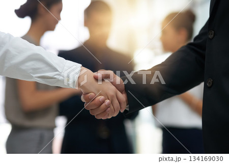 Handshake, business people and partnership deal at meeting for networking, b2b and success. Professional man and woman shaking hands as corporate partner for introduction, contract agreement or trust 134169030