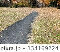落ち葉の道 134169224