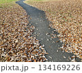 落ち葉の道2 134169226