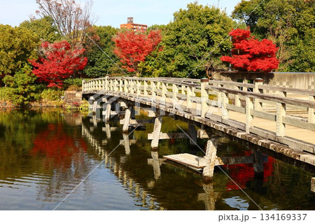 白鳥庭園の出会橋と紅葉の秋景色 134169337