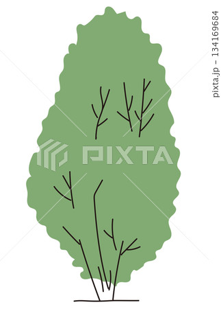 商業施設の植栽デザイン｜おしゃれな外構・低木・シンボルツリーのベクターイラスト 134169684