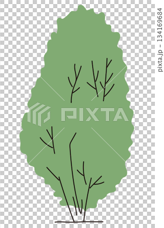 商業施設の植栽デザイン｜おしゃれな外構・低木・シンボルツリーのベクターイラスト 134169684