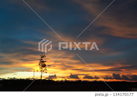 オレンジ色の夕焼けが美しい空の景色 134170177