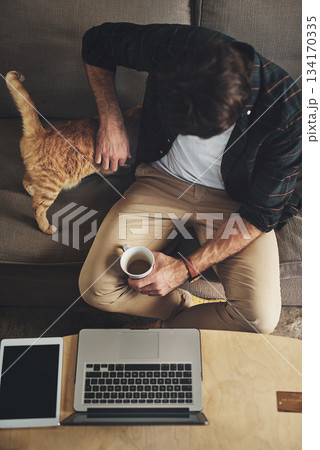 Laptop, coffee and man with cat on sofa to bond, relax and shopping online with credit card. Computer, animal and top view of male person rubbing kitten pet with care and drink latte in living room. Laptop, coffee and man with cat on sofa to bond, relax and shopping online with credit card. Computer, animal and top view of male person rubbing kitten pet with care and drink latte in living room. 134170335