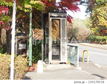 公園の公衆電話ボックスと紅葉 公園の公衆電話ボックスと紅葉 134170516