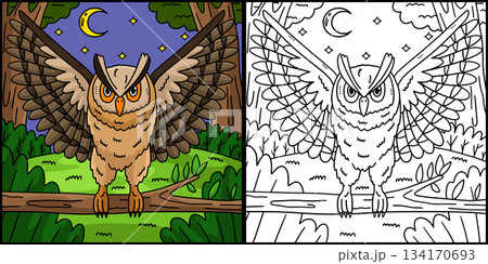 Forest Animal Eagle Owl Coloring Page Illustration Forest Animal Eagle Owl Coloring Page Illustration 134170693