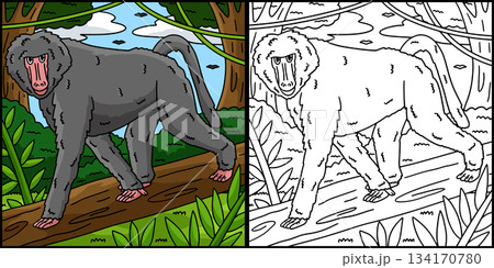 Baboon Monkey Coloring Page Colored Illustration Baboon Monkey Coloring Page Colored Illustration 134170780