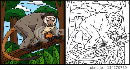 Night Monkey Coloring Page Colored Illustration Night Monkey Coloring Page Colored Illustration 134170789