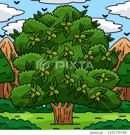 Pecan Tree Fruit Plant Nature Colored Cartoon Pecan Tree Fruit Plant Nature Colored Cartoon 134170790