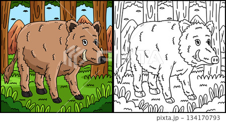 Forest Animal Wild Boar Coloring Page Illustration Forest Animal Wild Boar Coloring Page Illustration 134170793