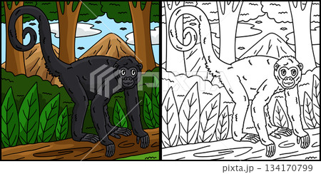 Spider Monkey Coloring Page Colored Illustration  134170799