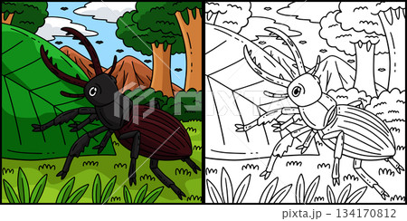 Forest Animal Stag Beetle Coloring Illustration Forest Animal Stag Beetle Coloring Illustration 134170812