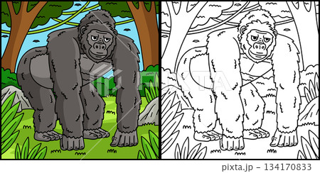Gorilla Great Ape Coloring Page Illustration  134170833