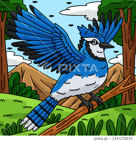 Forest Animal Jay Bird Colored Cartoon  134170835