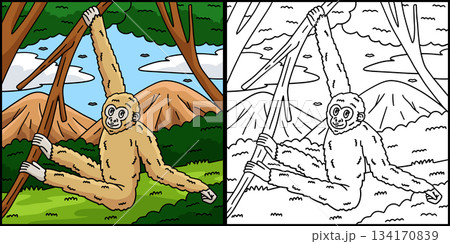 Gibbon Ape Coloring Page Colored Illustration Gibbon Ape Coloring Page Colored Illustration 134170839
