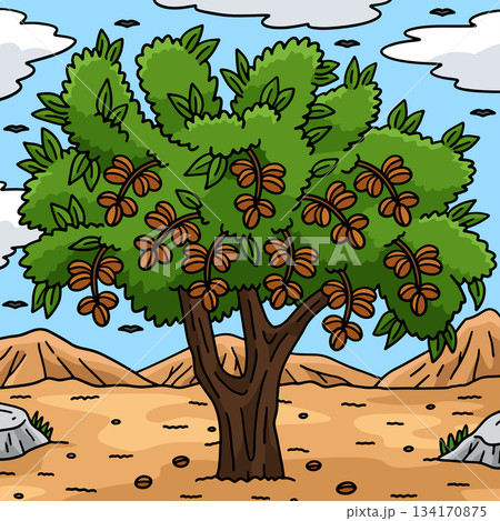 Almond Tree Fruit Plant Nature Colored Cartoon Almond Tree Fruit Plant Nature Colored Cartoon 134170875