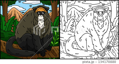 De Brazza Monkey Coloring Page Illustration  134170880