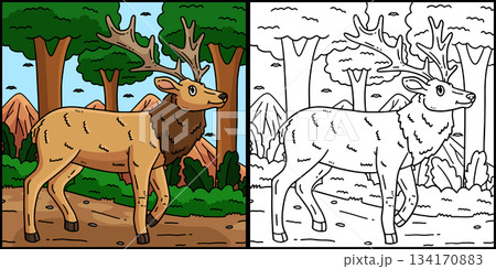 Forest Animal Elk Coloring Page Illustration  134170883