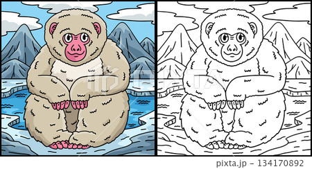 Japanese Macaque Monkey Coloring Illustration Japanese Macaque Monkey Coloring Illustration 134170892