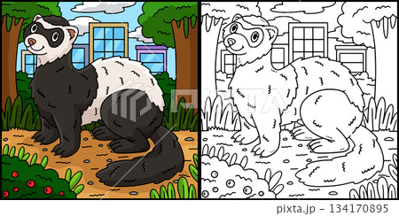 Forest Animal Polecat Coloring Page Illustration Forest Animal Polecat Coloring Page Illustration 134170895