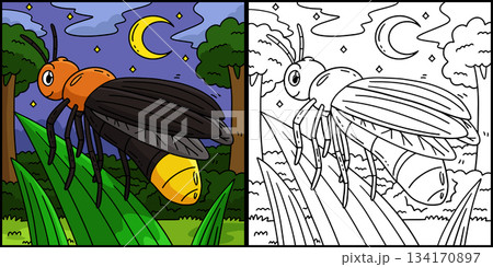 Forest Animal Firefly Coloring Page Illustration Forest Animal Firefly Coloring Page Illustration 134170897