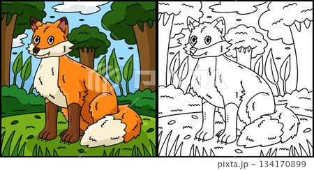 Forest Animal Fox Coloring Page Illustration  134170899