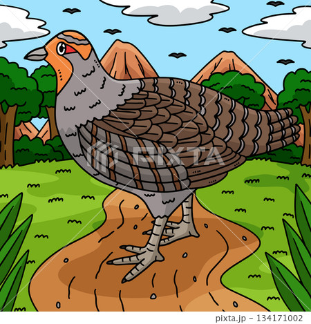Forest Animal Partridge Colored Cartoon  134171002