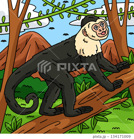 Capuchin Monkey Animal Colored Cartoon Capuchin Monkey Animal Colored Cartoon 134171009