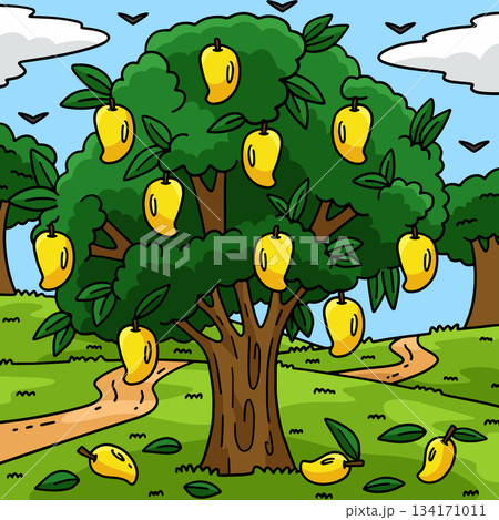 Mango Tree Fruit Plant Nature Colored Cartoon Mango Tree Fruit Plant Nature Colored Cartoon 134171011