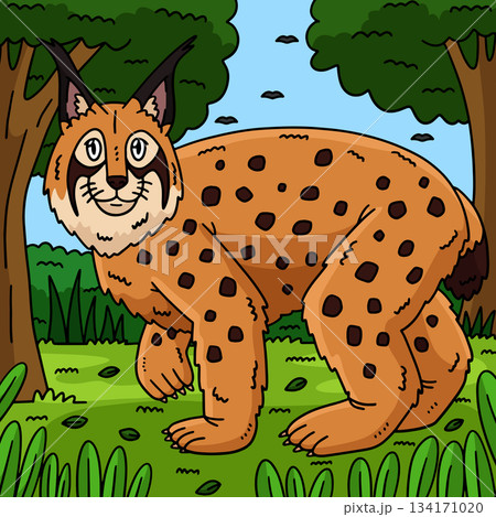 Forest Animal Lynx Colored Cartoon Illustration  134171020