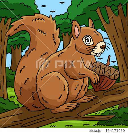 Forest Animal Squirrel Animal Colored Cartoon Forest Animal Squirrel Animal Colored Cartoon 134171030