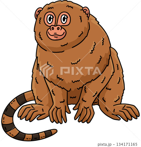 Pygmy Marmoset Monkey Cartoon Colored Clipart  134171165