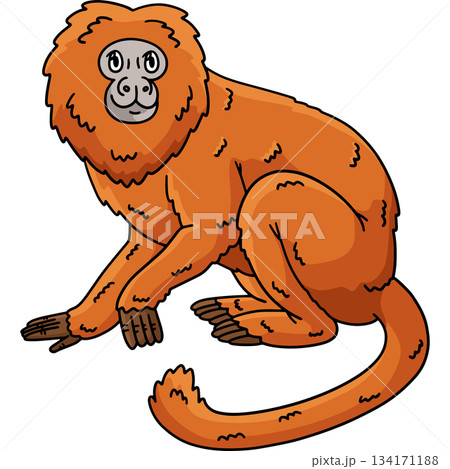 Golden Lion Tamarin Monkey Cartoon Colored Clipart Golden Lion Tamarin Monkey Cartoon Colored Clipart 134171188