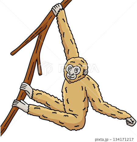 Gibbon Ape Animal Cartoon Colored Clipart  134171217