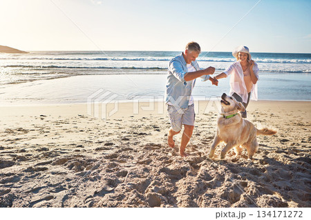 Happy couple, holding hands and at the beach with a dog in summer for retirement travel in Indonesia. Smile, playful and an elderly man and woman on a walk at the sea with a pet for play and holiday 134171272