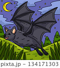 Forest Animal Bat Colored Cartoon Illustration  134171303