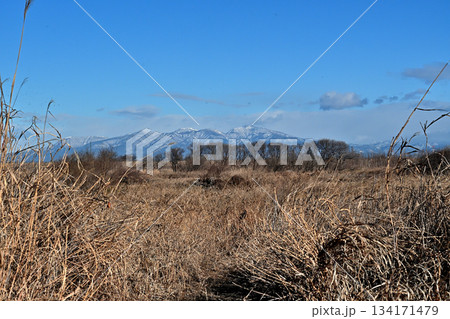 利根川に架かる昭和橋脇の土手から見るとほぼ北北西に聳える赤城山 134171479