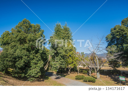 初冬の嵐山東公園　京都市 134171617