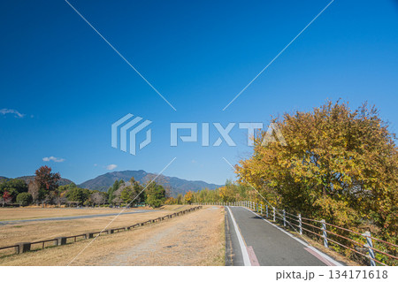 嵐山東公園運動広場　京奈和自転車道　京都市 134171618