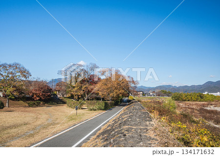 初冬の桂川河川敷風景　京奈和自転車道　京都市 134171632