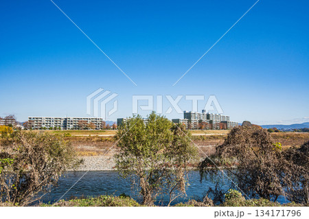 初冬の桂川風景　京都市 134171796