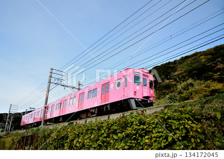 磯ノ浦海水浴場近くを走るめでたい電車(南海電鉄・加太線) 【和歌山県和歌山市】 磯ノ浦海水浴場近くを走るめでたい電車(南海電鉄・加太線) 【和歌山県和歌山市】 134172045