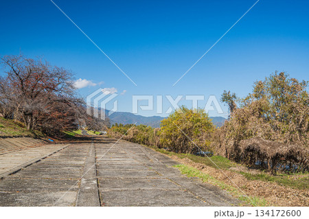 初冬の桂川河川敷風景 京都市 初冬の桂川河川敷風景 京都市 134172600