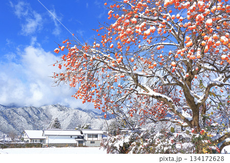 初雪の朝 134172628