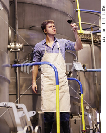Man, wine manufacturing at distillery and alcohol making process with inspection of drink in glass and winery. Young male winemaker, fermentation of alcoholic beverage and person check product 134172856