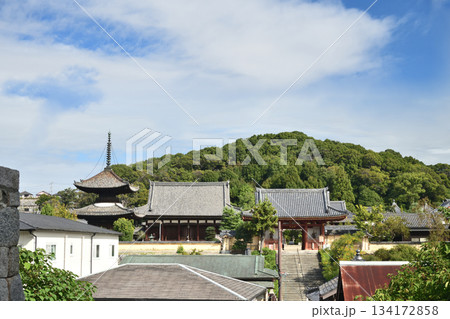 叡福寺 【大阪府南河内郡太子町】 叡福寺 【大阪府南河内郡太子町】 134172858