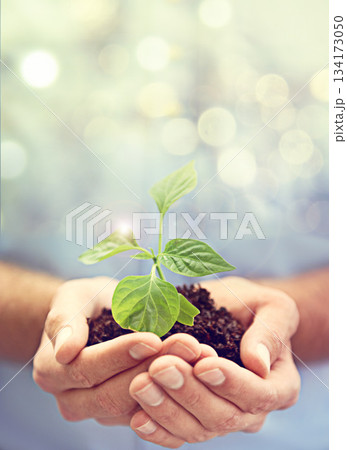 Soil, hands of person and plants on bokeh background to support earth, sustainability and mockup. Closeup, nature and growth of leaf, sand and green future of hope, accountability and climate change 134173050